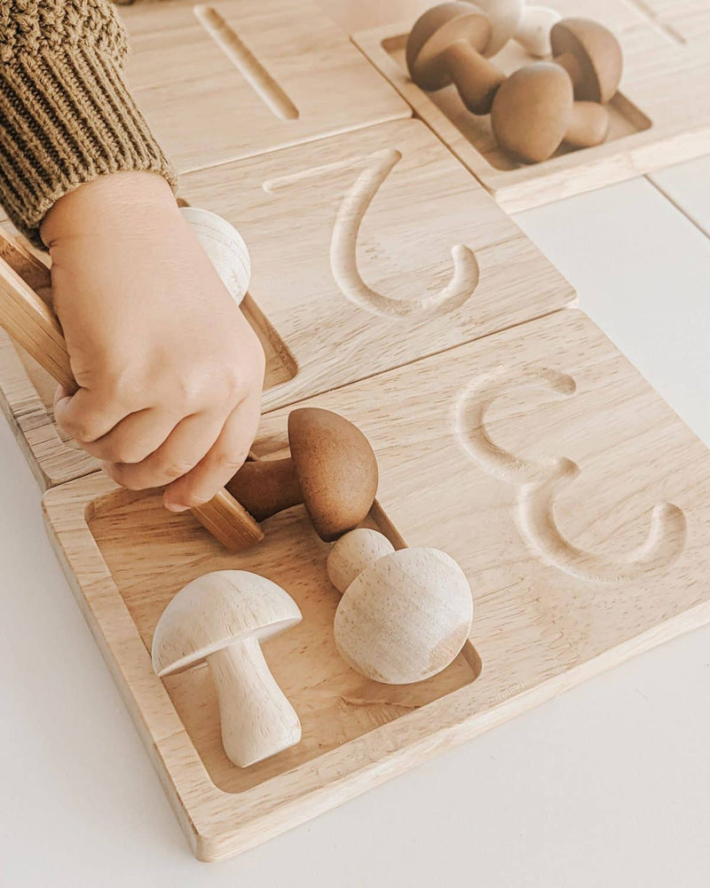 QToys Wooden Jumbo Counting Trays